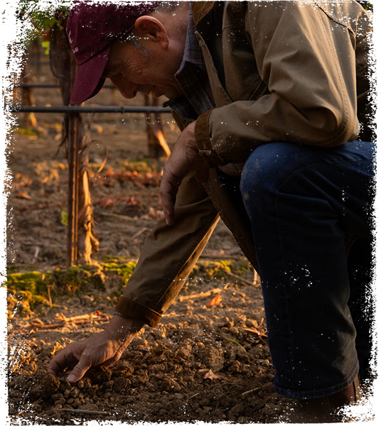 Joseph Carr examining vineyard soil