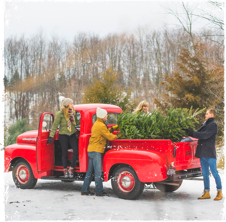 Family loading holiday tree into red truck